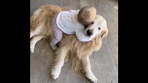 Cute Video| Sweetness 🥰🥰