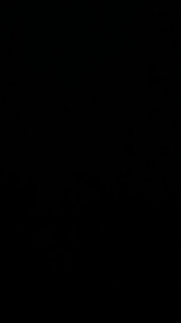 Energy independence with Trump