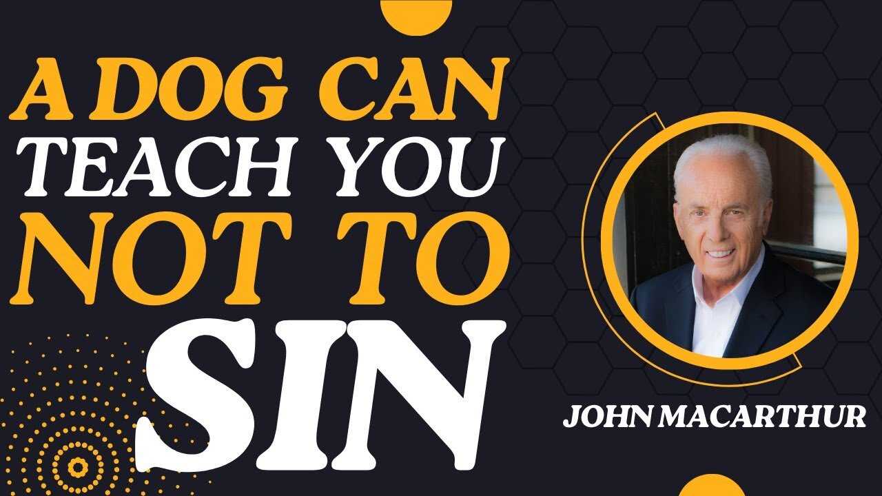 A Dog Can Teach You How Not to Sin | John MacArthur Classics