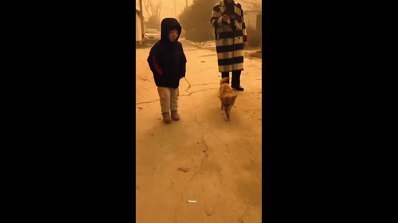 child dance with dog so cute