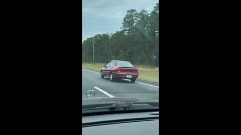 funny videos