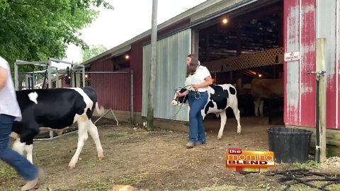 Eaton County Fair - 7/4/22