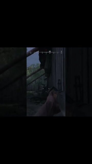 Peekaboo | Hunt Showdown Funny Moments #shorts #HuntShowdown #pcgaming