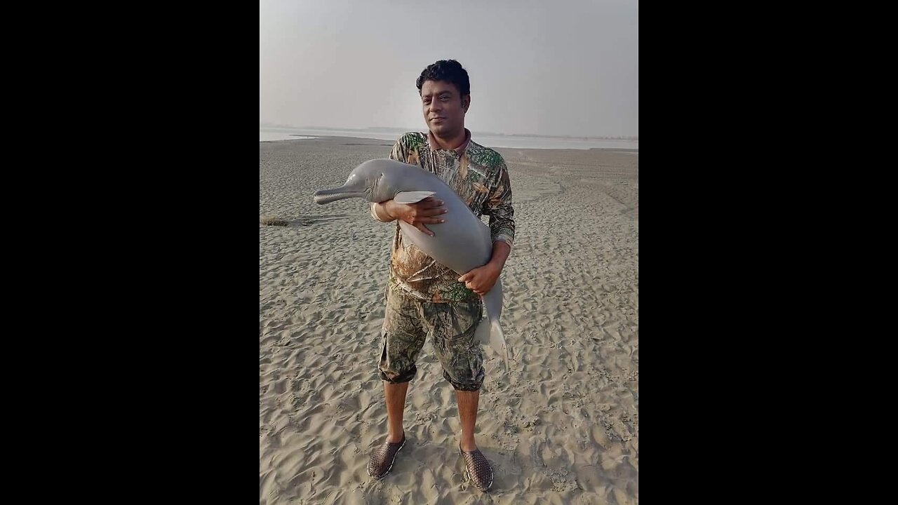 Dolphin release at Indus river