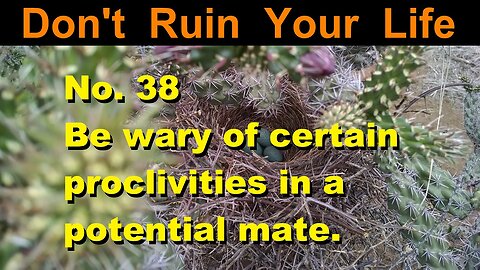 DRYL No. 38 -- Be wary of certain proclivities in a potential mate.