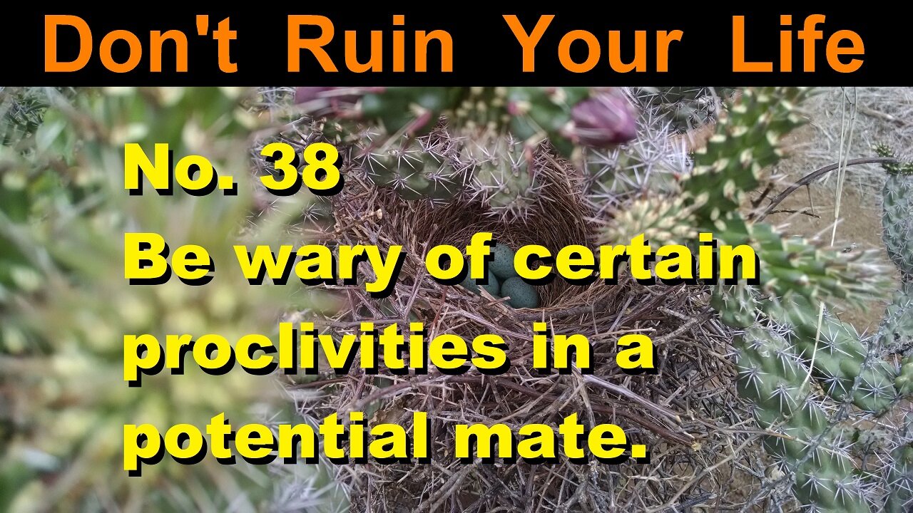 DRYL No. 38 -- Be wary of certain proclivities in a potential mate.