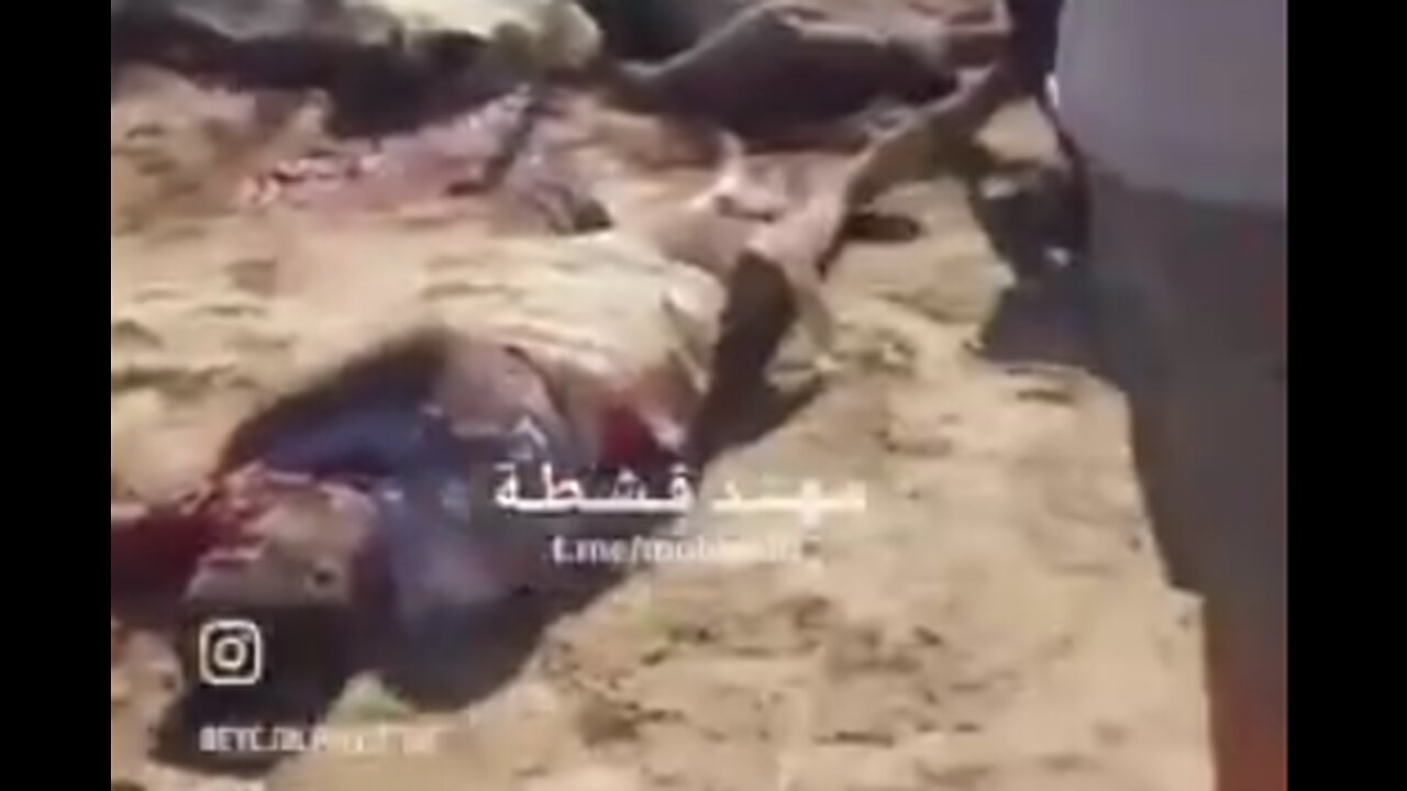Israel just committed a HUGE MASSACRE on DISPLACED CIVILIANS in Rafah!