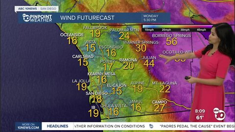 ABC 10New Pinpoint Weather for Sun. Apr. 10, 2022