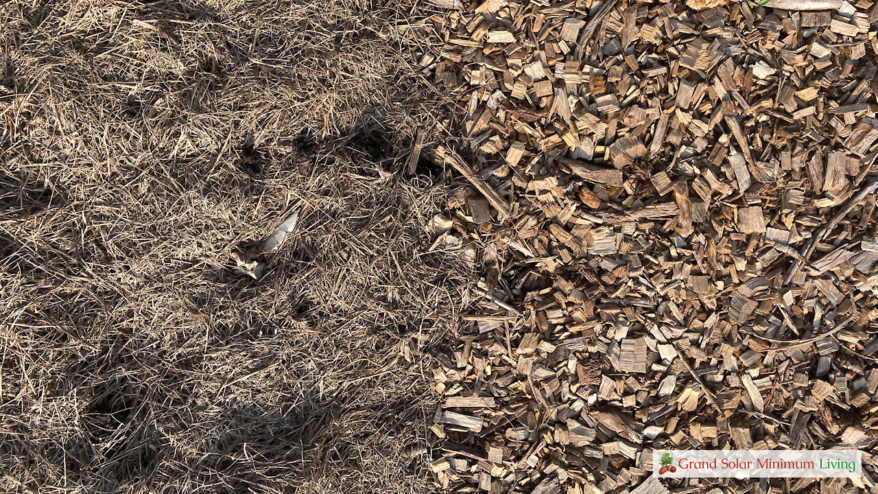 How Different Mulches Impact Water Flow and Soil In Your Garden