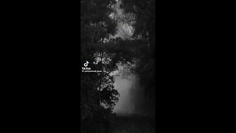 BlackWorld