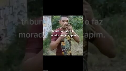 ROUBOU NA FAVELA TEVE QUE COMER CAPIM , VOCE CONCORDA ? SO NO RIO DE JANEIRO ( MEME ) #shorts