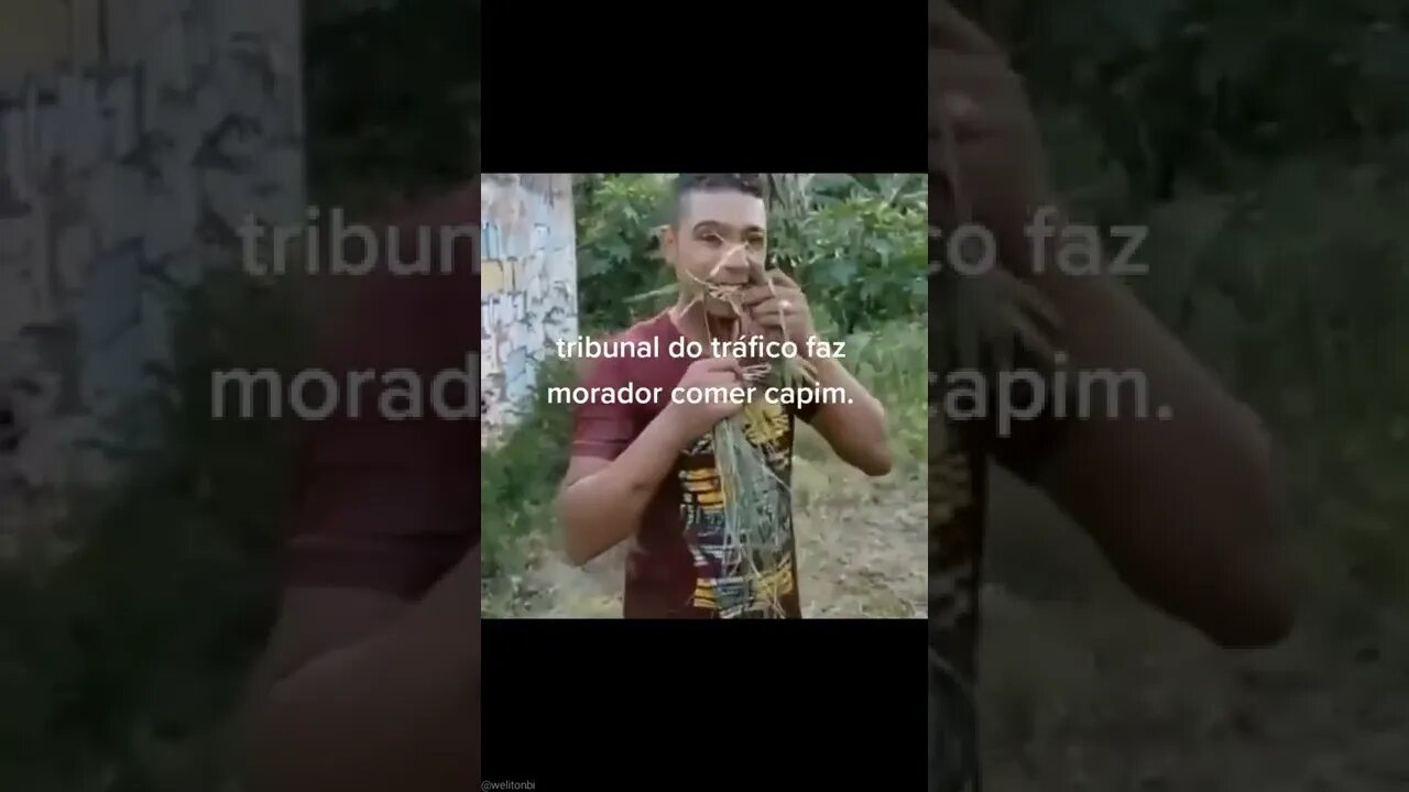 ROUBOU NA FAVELA TEVE QUE COMER CAPIM , VOCE CONCORDA ? SO NO RIO DE JANEIRO ( MEME ) #shorts