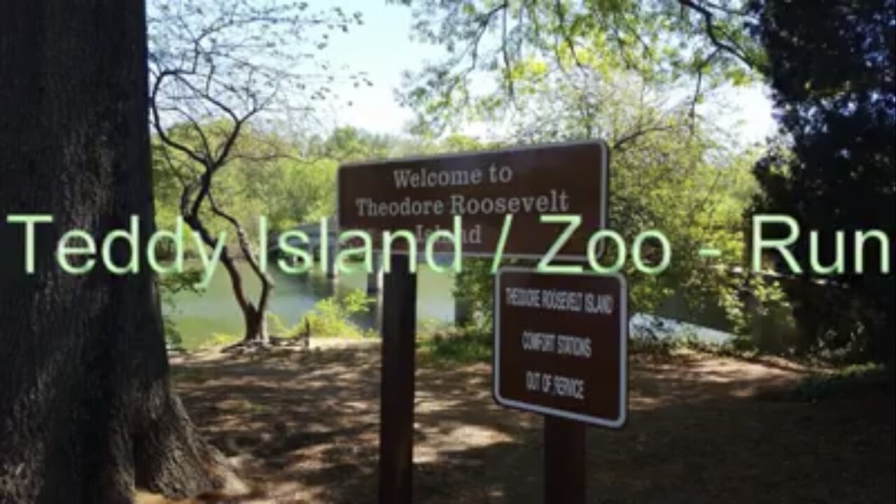 Teddy Island/Zoo Run