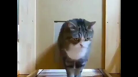 Like water! ❤️😂😂 #shorts