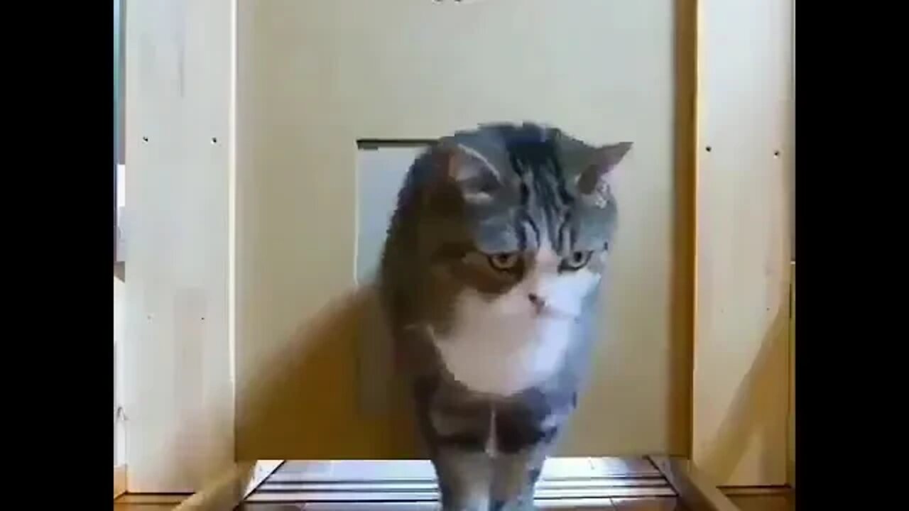 Like water! ❤️😂😂 #shorts