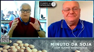 Milho com expectativas de exportações