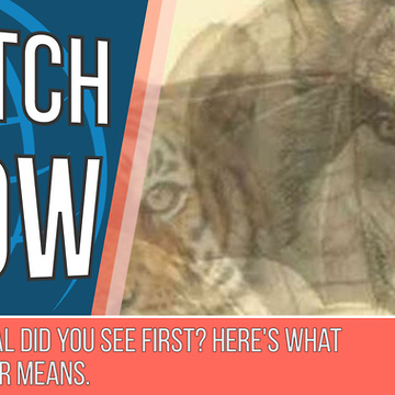 Which Animal Did You See First? Here's What Your Answer Means.