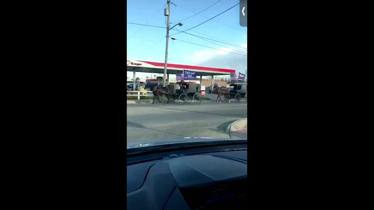 Amish for Trump