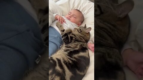 New Farlight 84 Syfer شخصية اصبحت خارقة