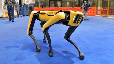 How to disable spot the Robot Dog (Just thinking ahead)