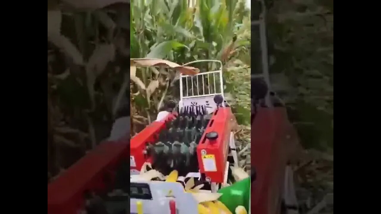 Viral videos and Trending Short video(2)