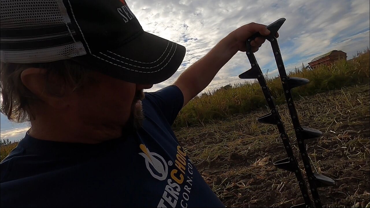 Everything Is Breaking Down - Trying To Finish Chopping Corn Silage!