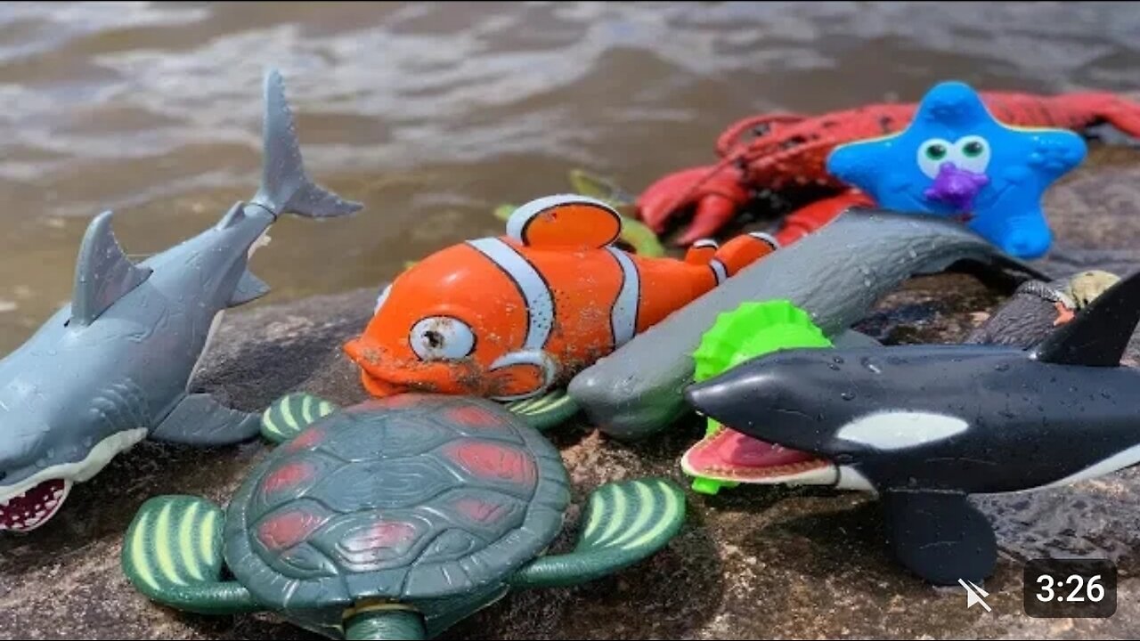 Sea Animal Toys This Summer at the Shore