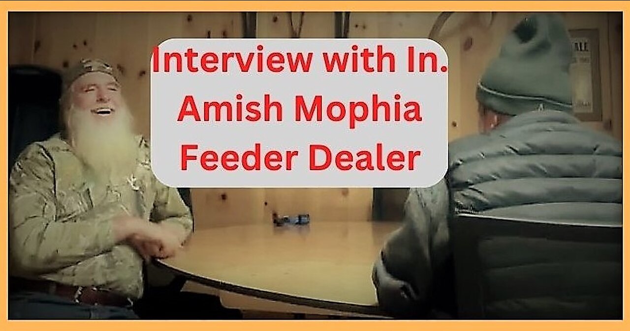 Interview with a Indiana Amish Mophia feeder dealer