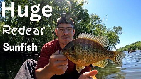 Crappie vs Redear: Ultimate Taste Test Showdown!!!