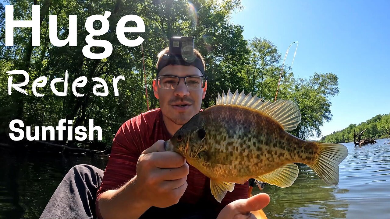 Crappie vs Redear: Ultimate Taste Test Showdown!!!