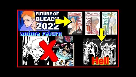my thoughts on the future of bleach
