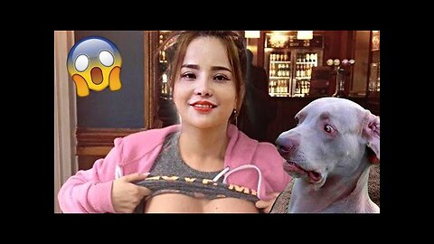 Funniest Animals Videos 2023 😍 Funniest Dogs And Cats 🐱🐶