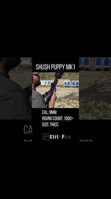 #Shorts The Last Test of the Shush Puppy Suppressor