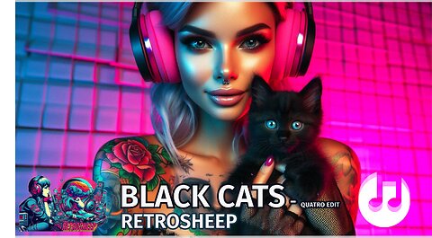 BLACK CATS - Quatro Edit Retrosheep Indie Sessions #cats #blackcats #superstitions