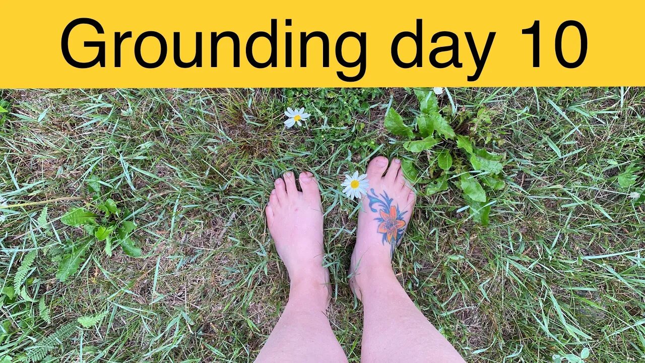 Grounding day 10 - wet grass and fog