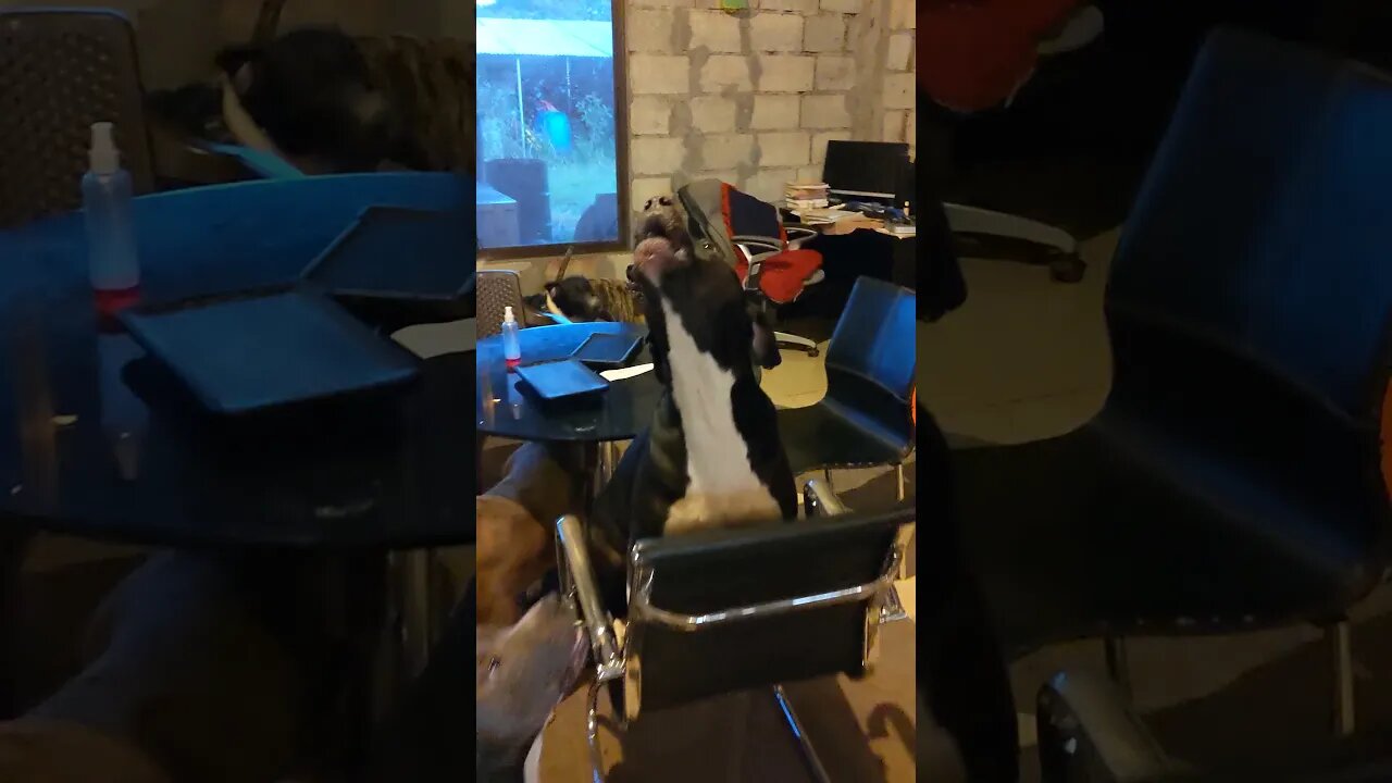 Just an average morning