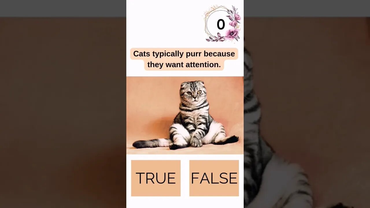 Cat Quiz 1🙀| If you fail this Quiz You're not a Cat Person