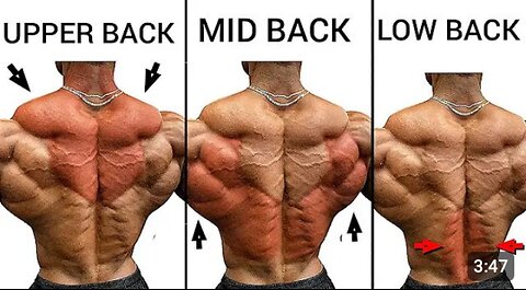 How To Get Wider Back At Gym ll Back Workout