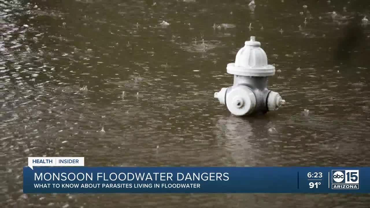 Monsoon floodwater dangers