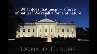 Donald Trump Quotes - What does that mean...