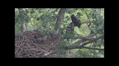 Hays Juvenile branches to the Highbar branch 2021 06 01 10:28AM