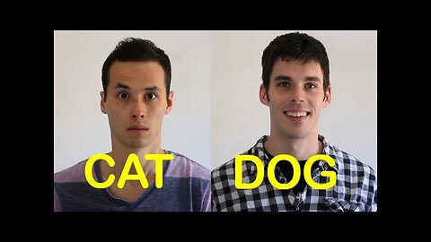 Cat-Friend vs Dog-Friend 2