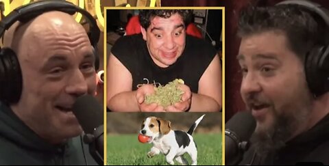 Joe Rogan Talks About Dogs Getting High