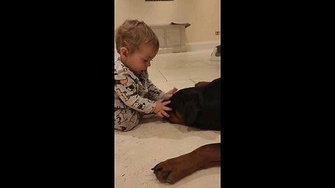 BABY LOVES HIS ROTTWEILER 🐶