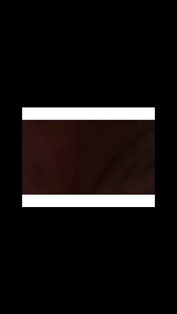 MAGA Disney Style ❄️