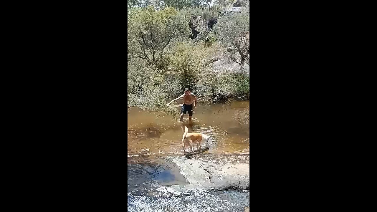 Natures treadmill after a couple beers🤪🍻🤪