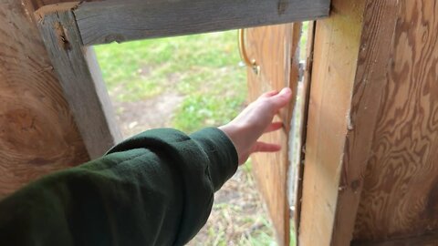 Chicken coop projects