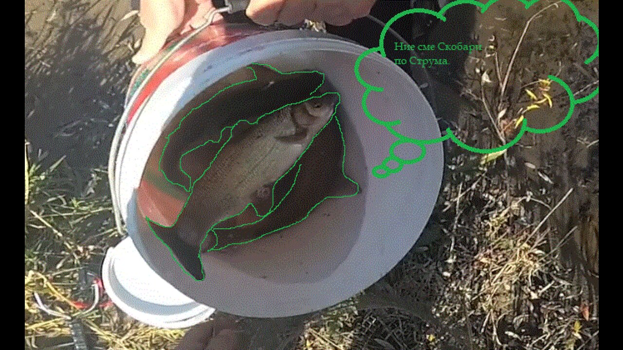 река Струма Struma river