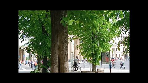 5. ROSENKRANZGEBETSMARSCH DER MÄNNERAM BRANDENBURGER Tor