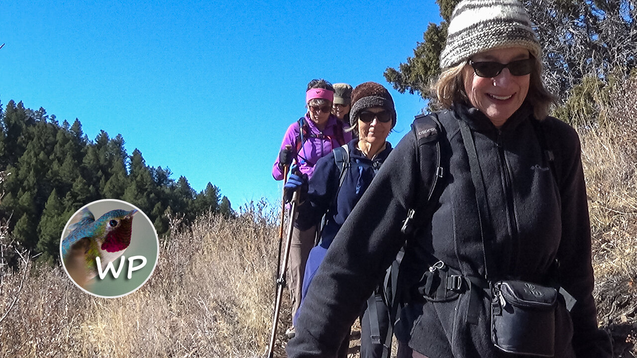 North Fork | Fall | Reynolds Park | Conifer | Colorado Trails